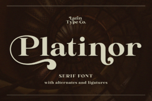 Platinor: A Serif Font That Bridges Tradition and Modernity in Design